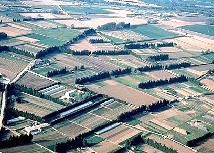 alt_emporda1