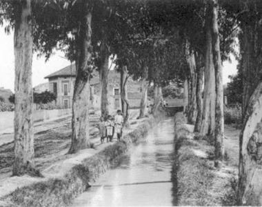 canal de la dreta del Llobregat