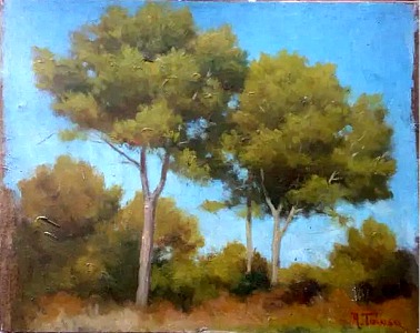 Aureli Tolosa i Alsina